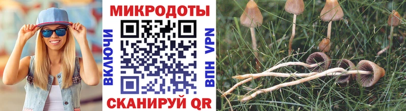 Галлюциногенные грибы MAGIC MUSHROOMS  Купить где  Выборг 